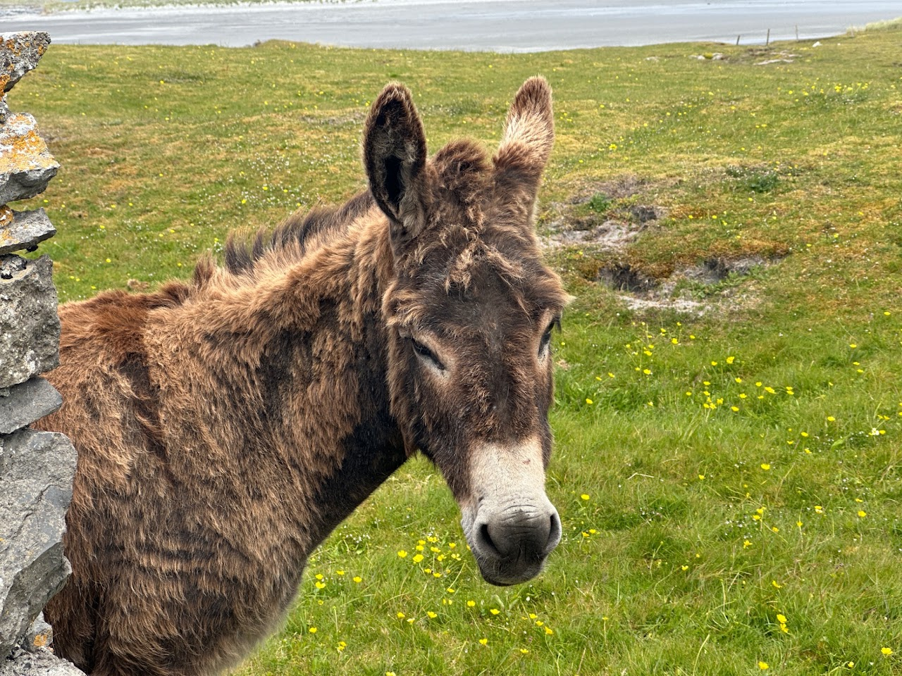 Inishmór Image5