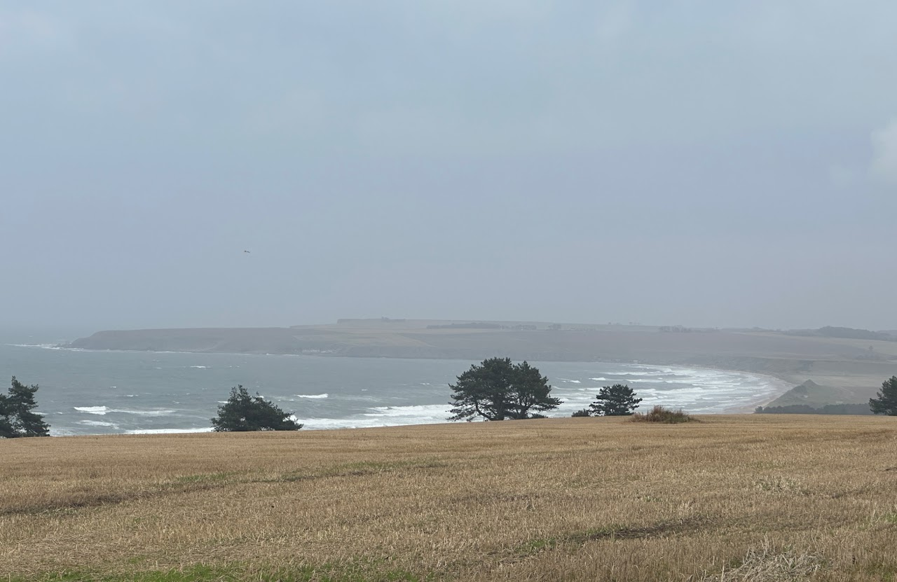 Dundee Image2