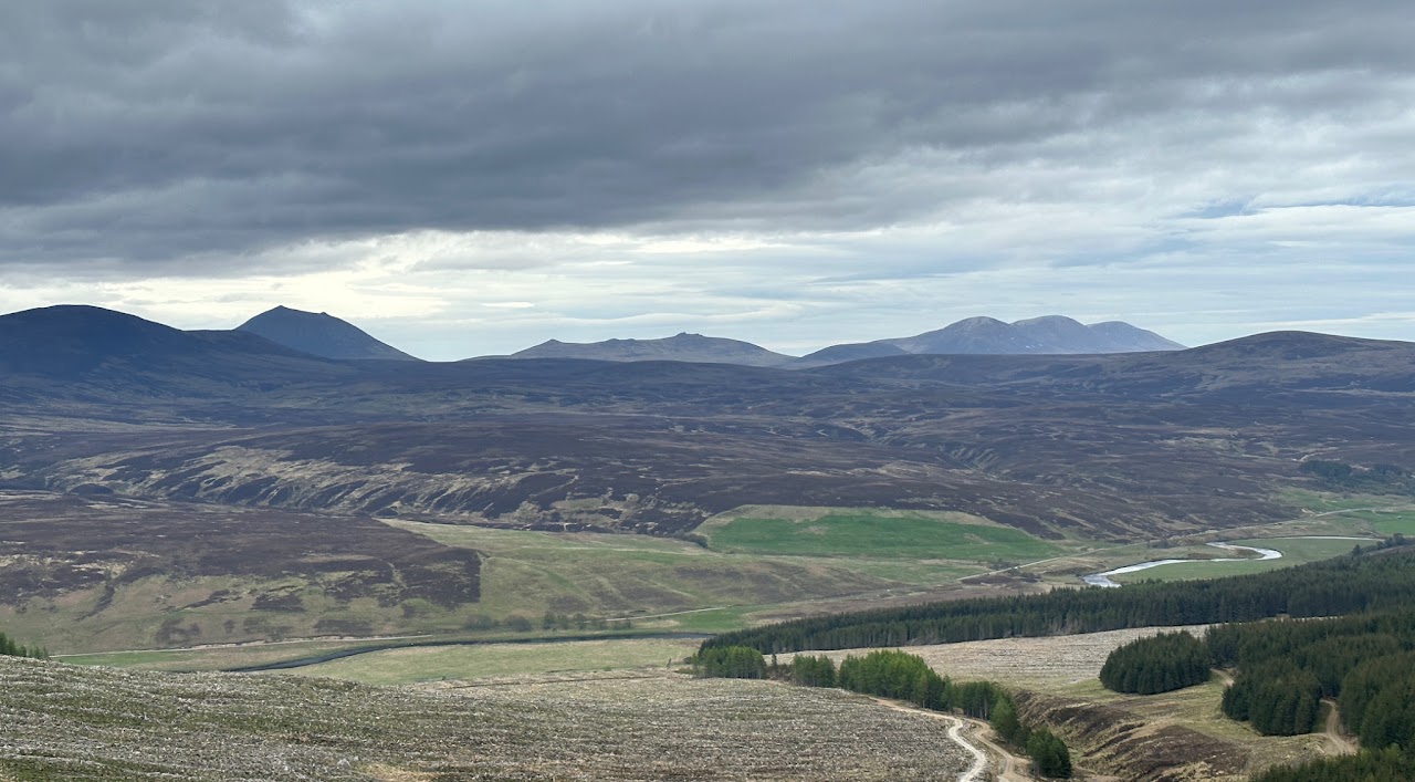 Golspie Image1