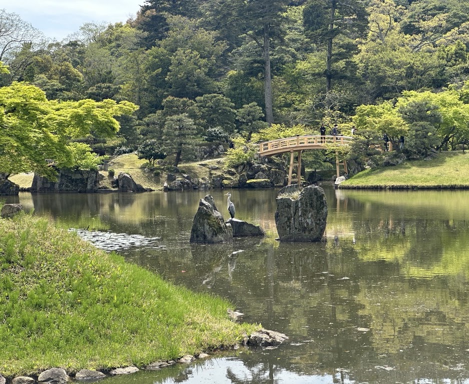 Nagahama Image6