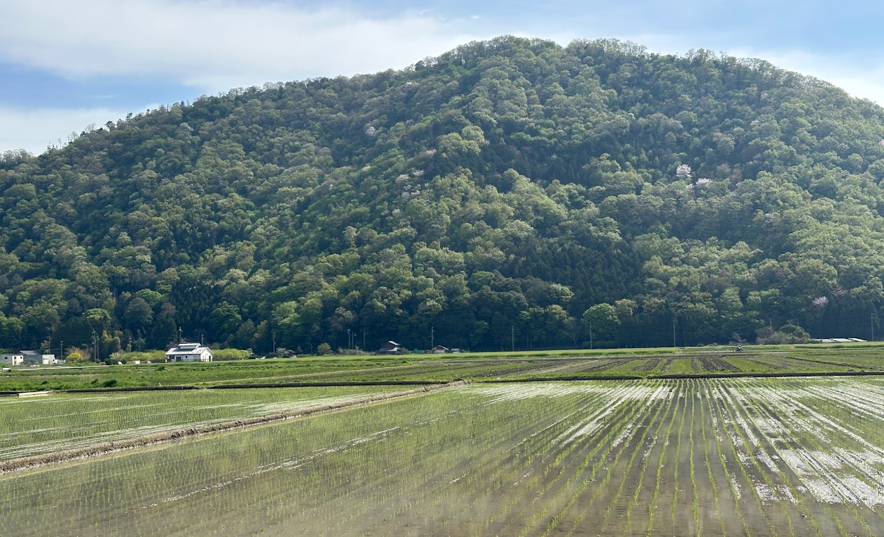 Makino Image1