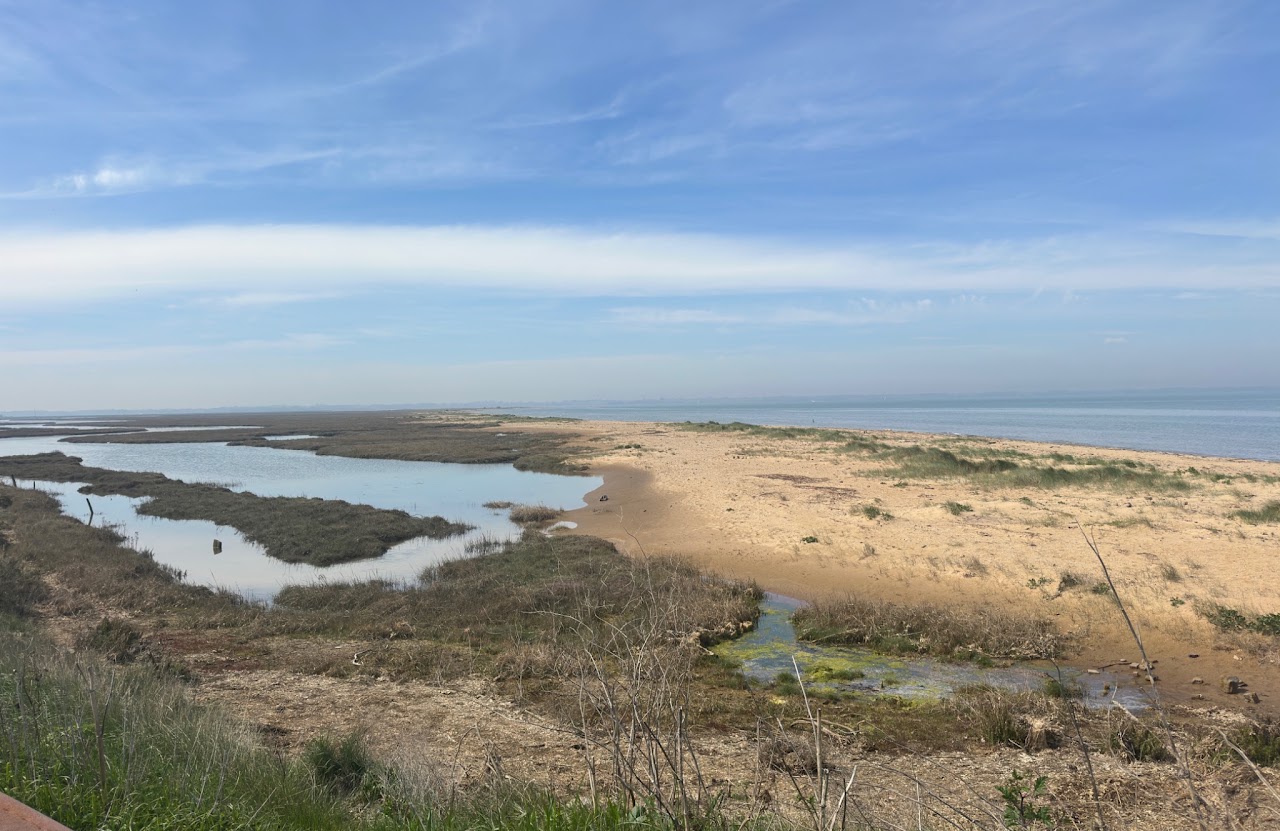 Walton To The Naze Image1