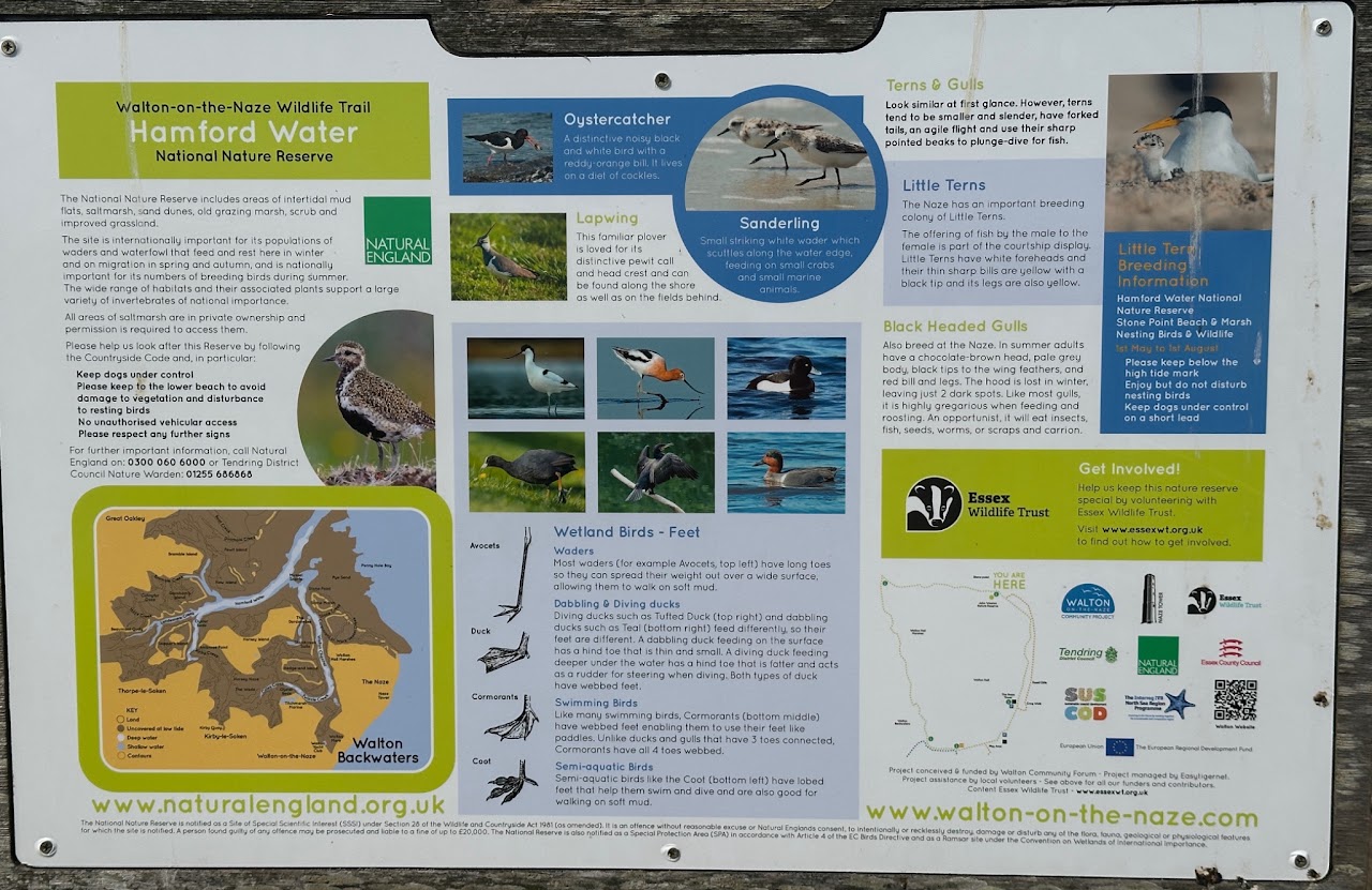 Walton To The Naze Image2