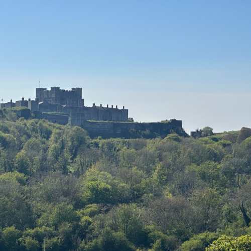 Dover Image3