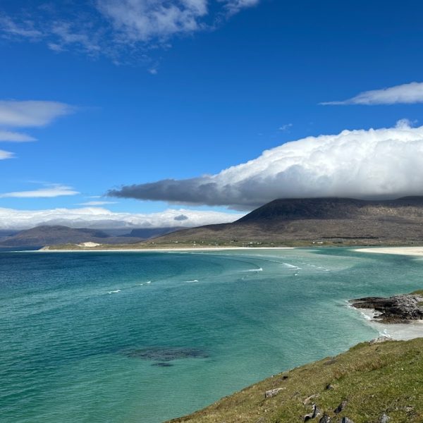 harris-img3